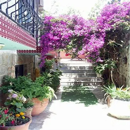 Sezgin Kusadasi