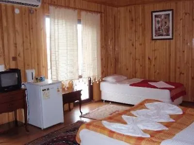 Sezgin