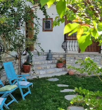 Sezgin *